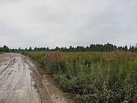 Здесь был один из передовых узлов немецкой обороны Здесь был один из передовых узлов немецкой обороны