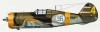   Curtiss Hawk 75A-2.


