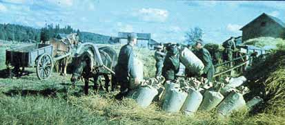      1943.
