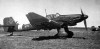    Junkers Ju 87D-5 "Stuka".    1944       .