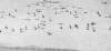         5-  1940.     ,         (  70 ),      .        ,          .