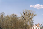 Снято стоя на стенах Старой Ладоги <small>Почта: volodichs@narod.ru</small> <small>Фотоаппарат: Olympus IS-300</small>