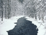 Река Волчья по дороге в Борисово. <small>ICQ 61318582</small> <small>Фотоаппарат: ФЭД-5В</small>