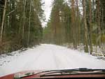 25 апреля 2005. В лесу выпал свежий снег.
