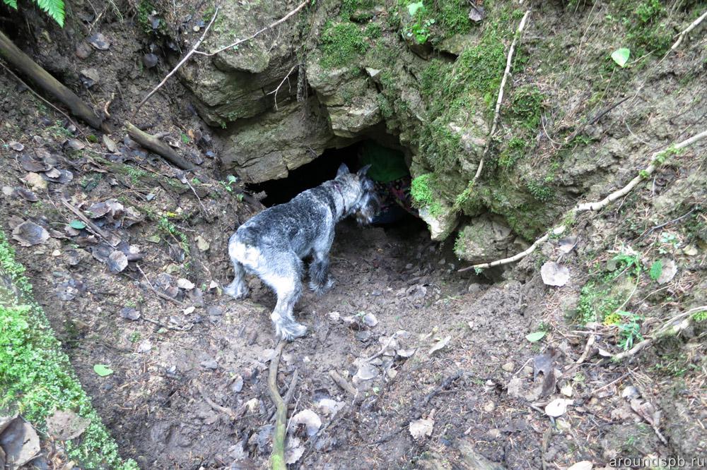 Миттель проверяет пещеру