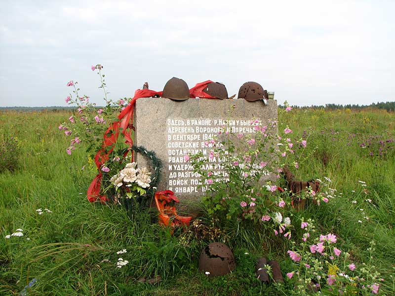 Здесь в районе реки Назии у бывших деревень Вороново и  Поречье, в сентябре 1941 г. советские войска остановили врага