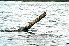 16 апреля 2003 года.  61 год и 7 месяцев продолжалась переправа...  Танк стоял в 23 метрах от берега на глубине 15 метров.
